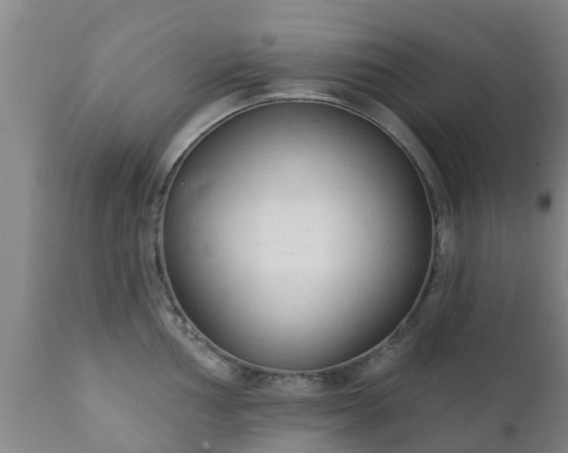 X0000112421002200908211141