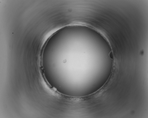 X0000112421003200908211141