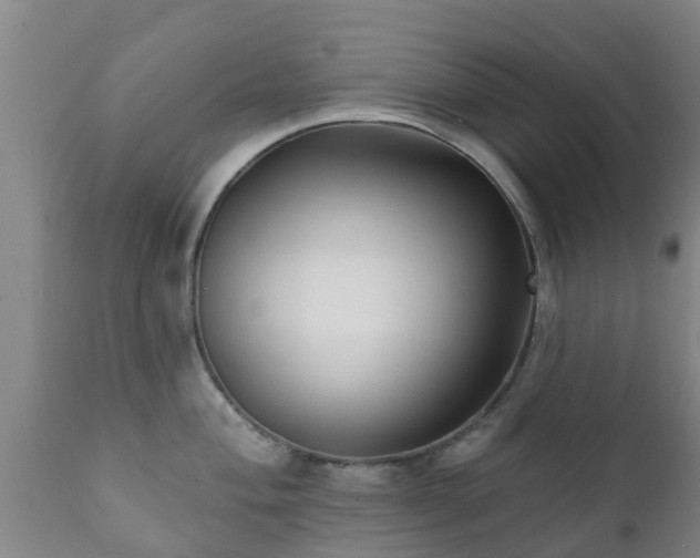 X0000112421004200908211141