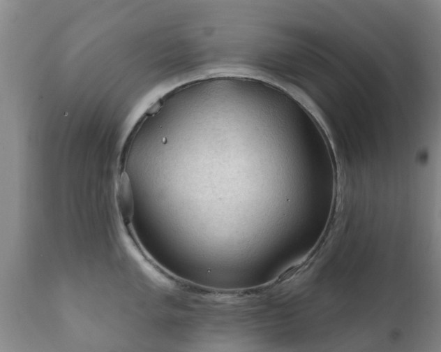 X0000112421005200908211141