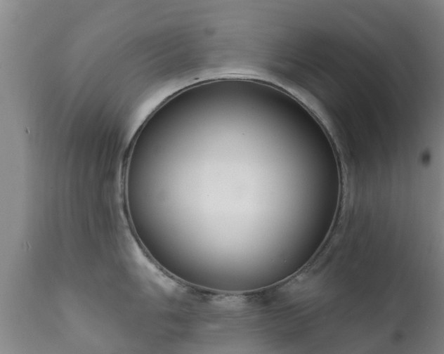 X0000112421006200908211141