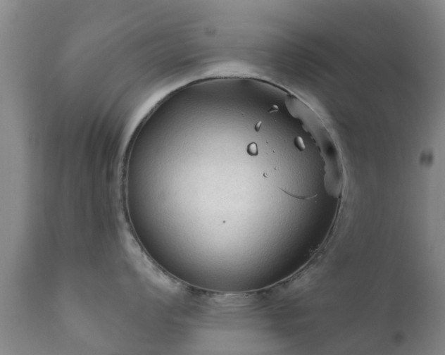 X0000112421008200908211141