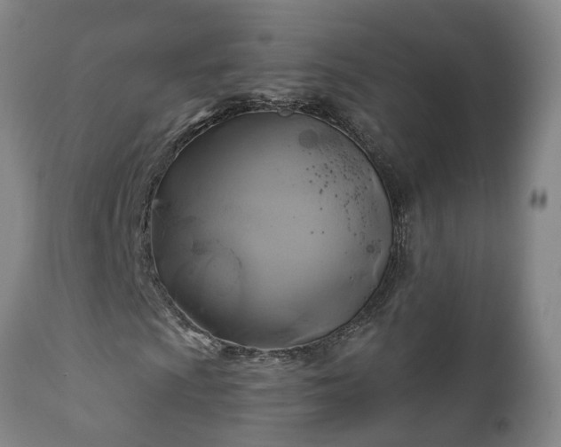 X0000112421009200908211141