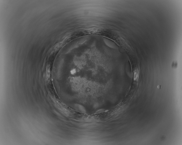 X0000112421011200908211141