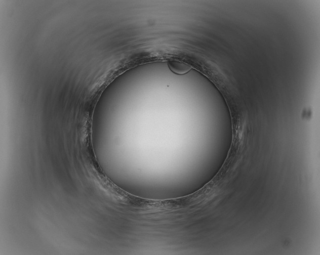 X0000112421012200908211141