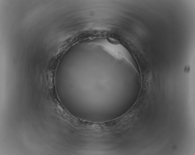 X0000112421013200908211141