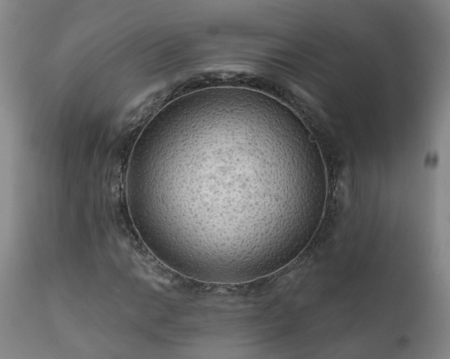 X0000112421014200908211141