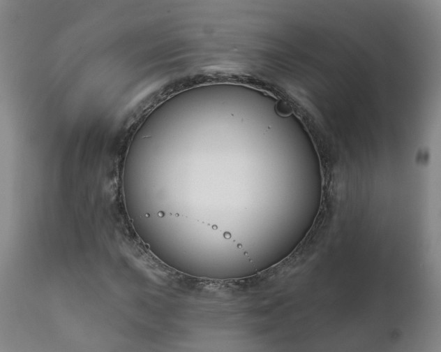 X0000112421015200908211141