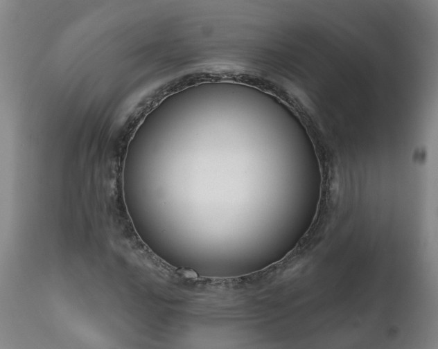 X0000112421016200908211141