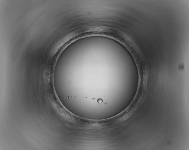 X0000112421017200908211141