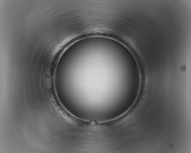 X0000112421018200908211141