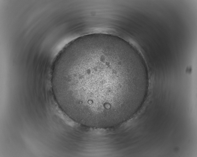 X0000112421019200908211141