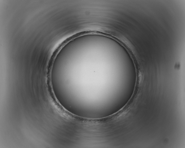 X0000112421020200908211141