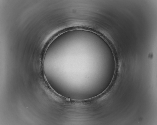 X0000112421021200908211141