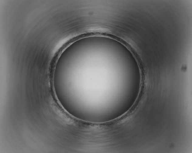 X0000112421022200908211141