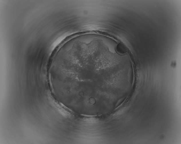 X0000112421023200908211141