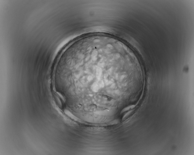 X0000112421024200908211141