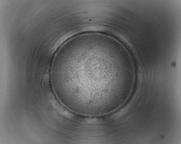 X0000112421025200908211141