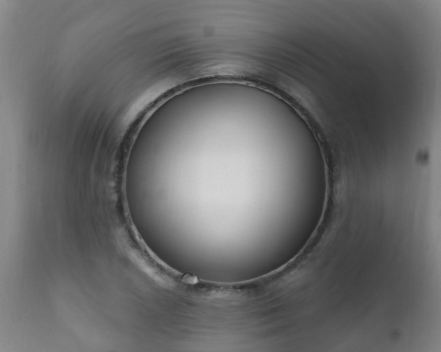 X0000112421026200908211141