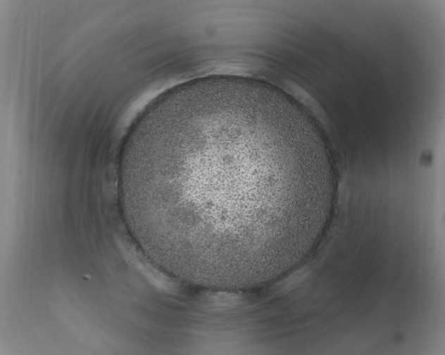 X0000112421027200908211141