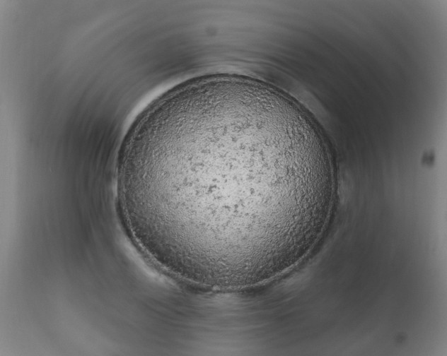 X0000112421028200908211141