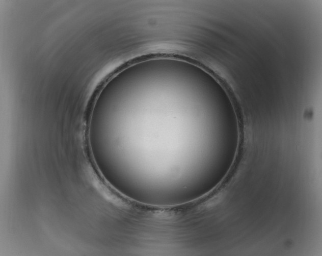 X0000112421029200908211141