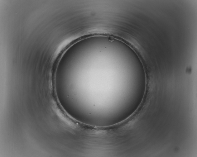 X0000112421030200908211141