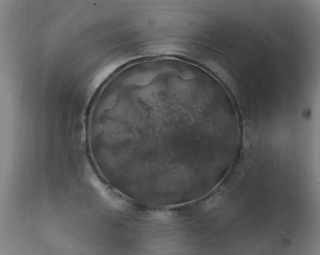 X0000112421031200908211141