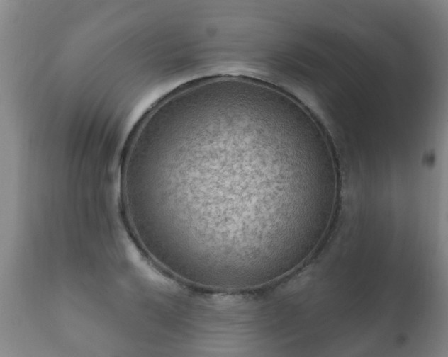 X0000112421032200908211141