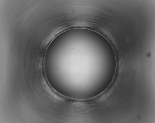 X0000112421033200908211141