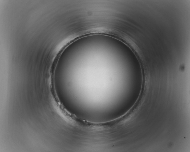 X0000112421034200908211141