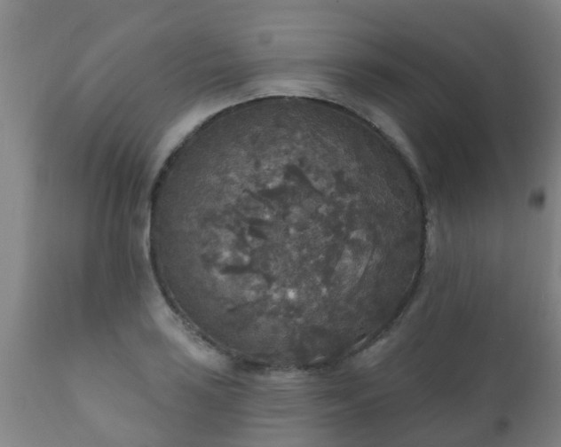 X0000112421035200908211141