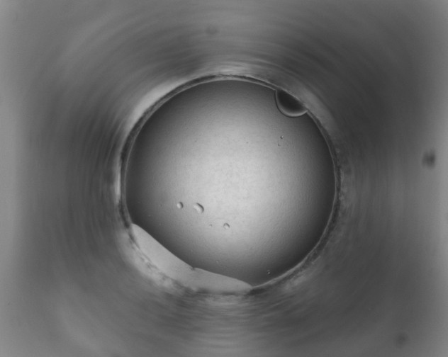 X0000112421036200908211141