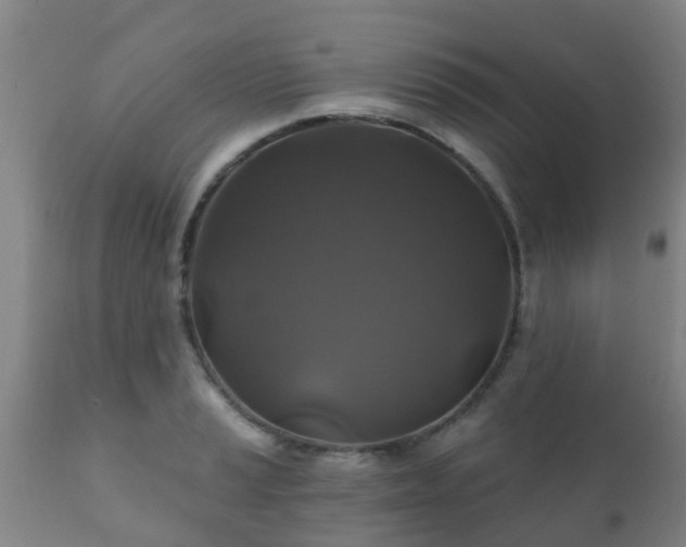 X0000112421037200908211141