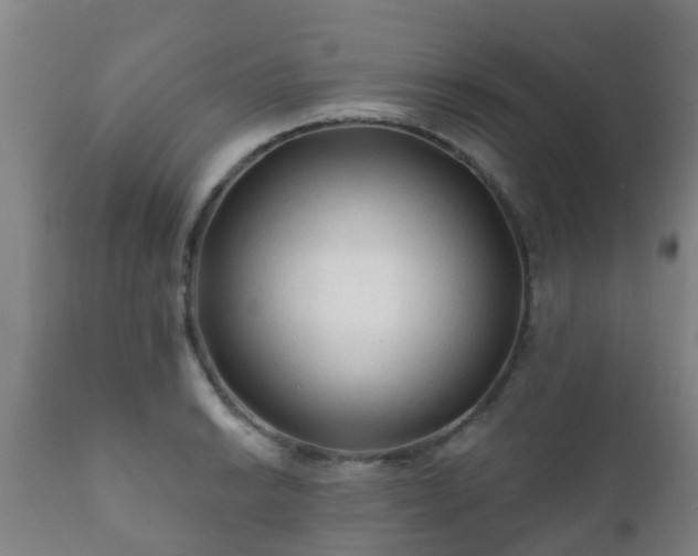 X0000112421038200908211141