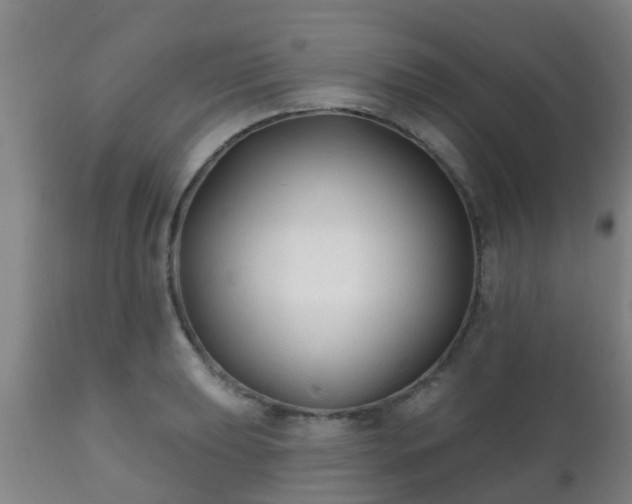 X0000112421039200908211141