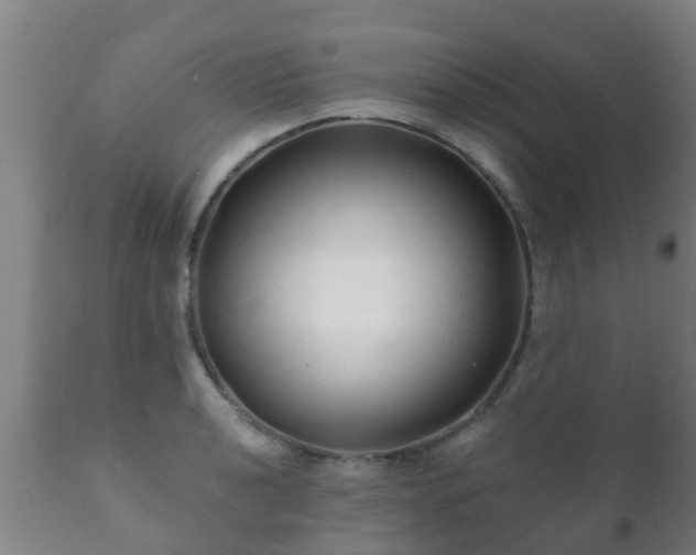 X0000112421040200908211141