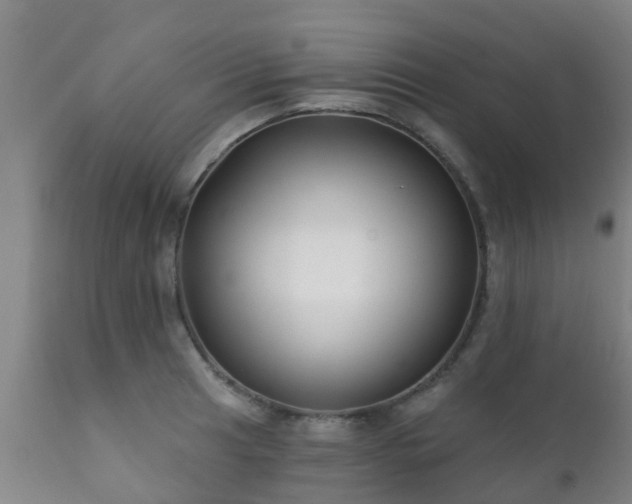 X0000112421041200908211141