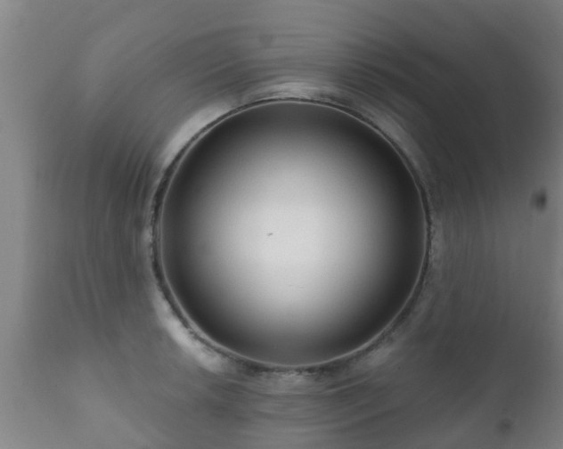 X0000112421042200908211141