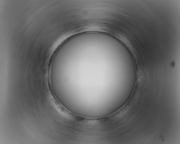 X0000112421043200908211141