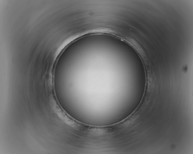 X0000112421044200908211141