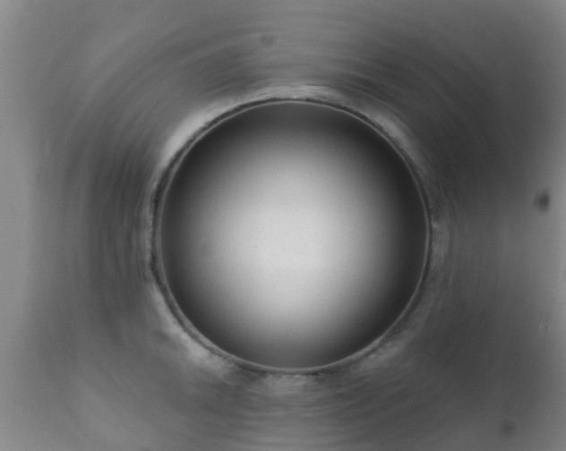 X0000112421046200908211141