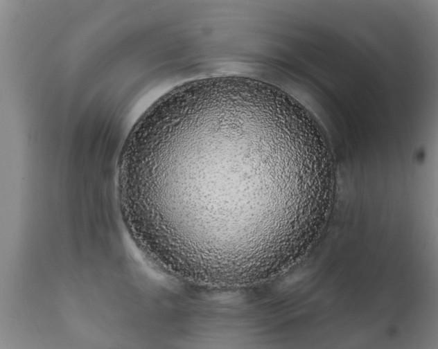 X0000112421047200908211141