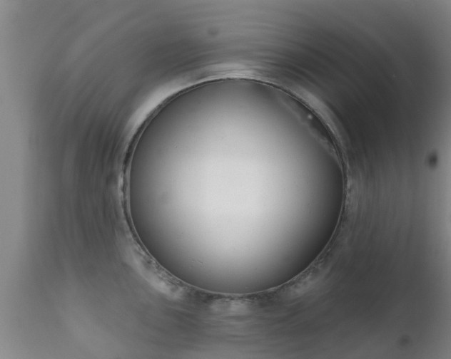 X0000112421051200908211141