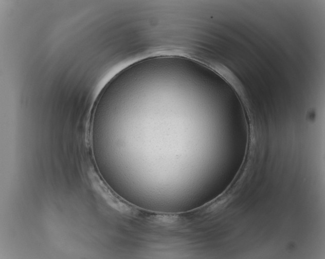 X0000112421052200908211141