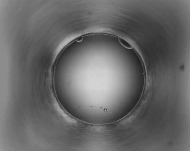 X0000112421053200908211141