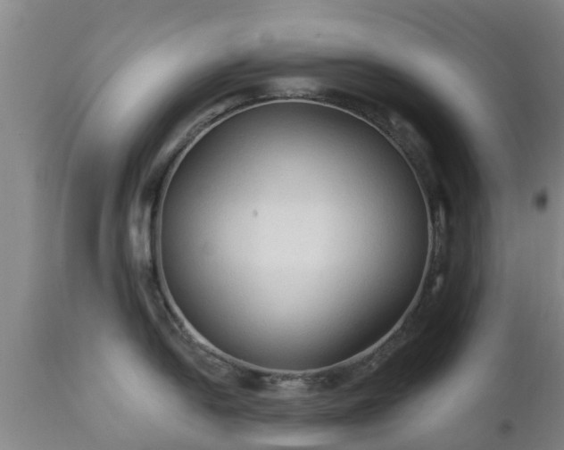 X0000112421054200908211141