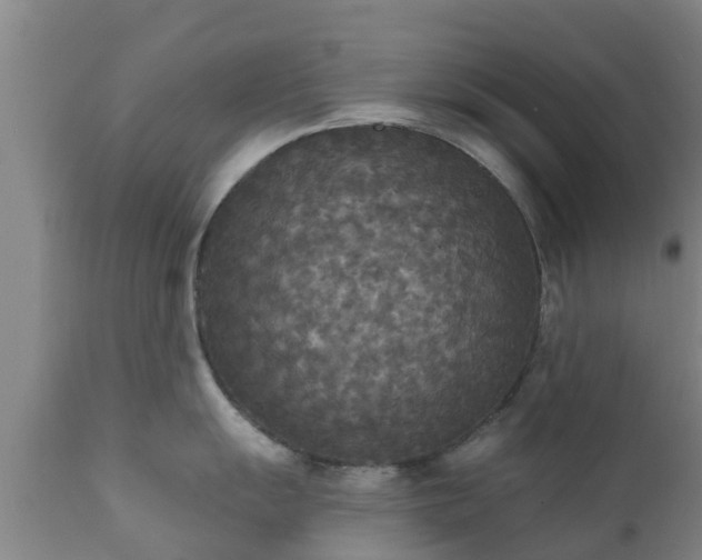 X0000112421055200908211141