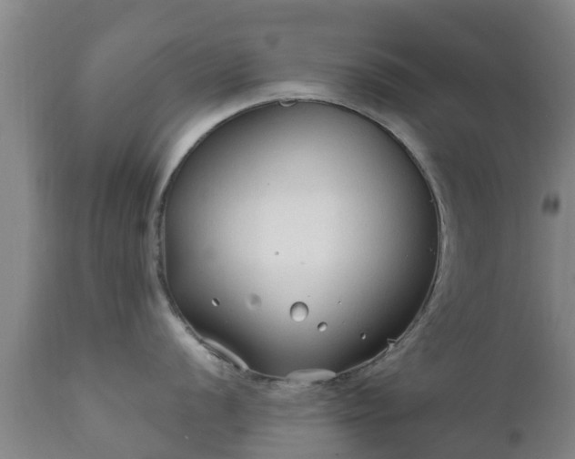 X0000112421056200908211141