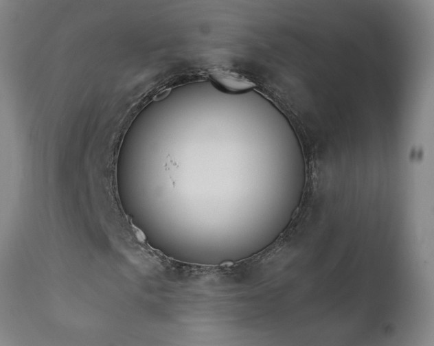 X0000112421057200908211141